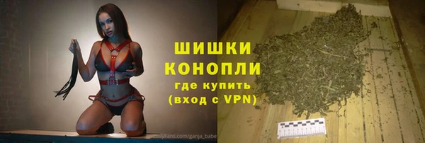 крисы Горнозаводск